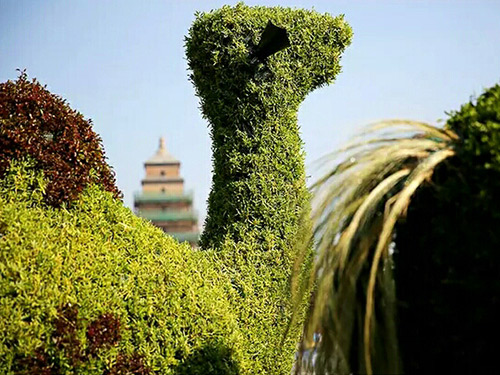 绿雕仿真植物骆驼工程...