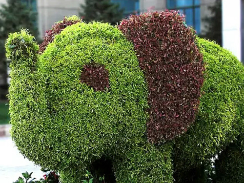 绿雕仿真植物大象工程...