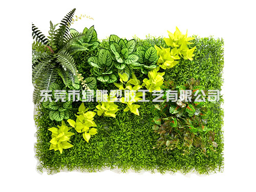 东莞草坪生产