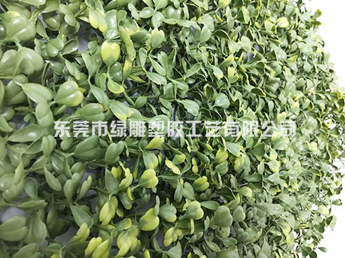 米兰草坪