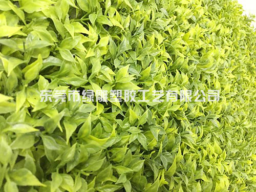 辣椒叶