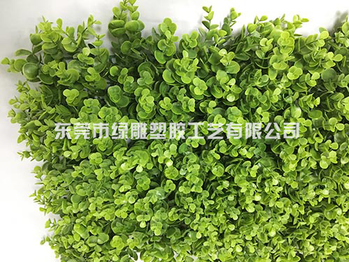 绿色草坪