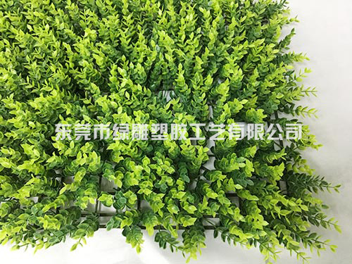 东莞草坪生产