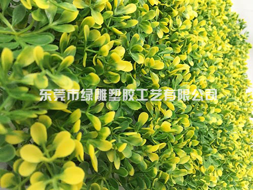 杨梅叶