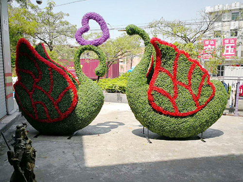 绿雕仿真植物天鹅案例