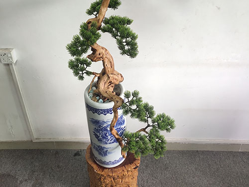 绿雕植物选择时的原则