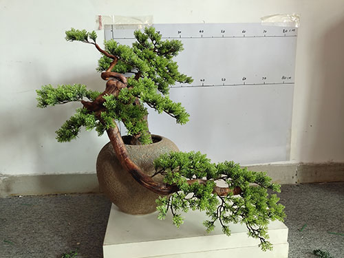 绿雕的功能和构思