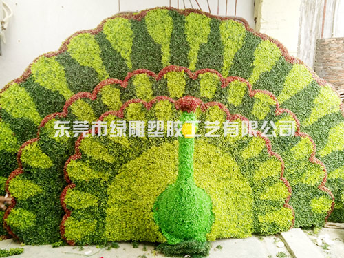 绿雕仿真植物孔雀开屏