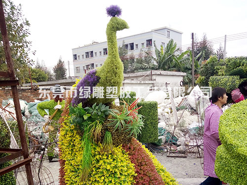 绿雕仿真植物孔雀